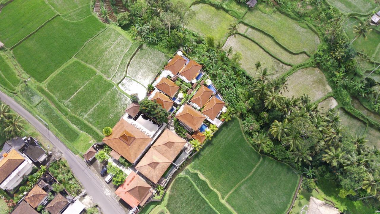 Danakha Villa Ubud Tegallalang  Exterior foto