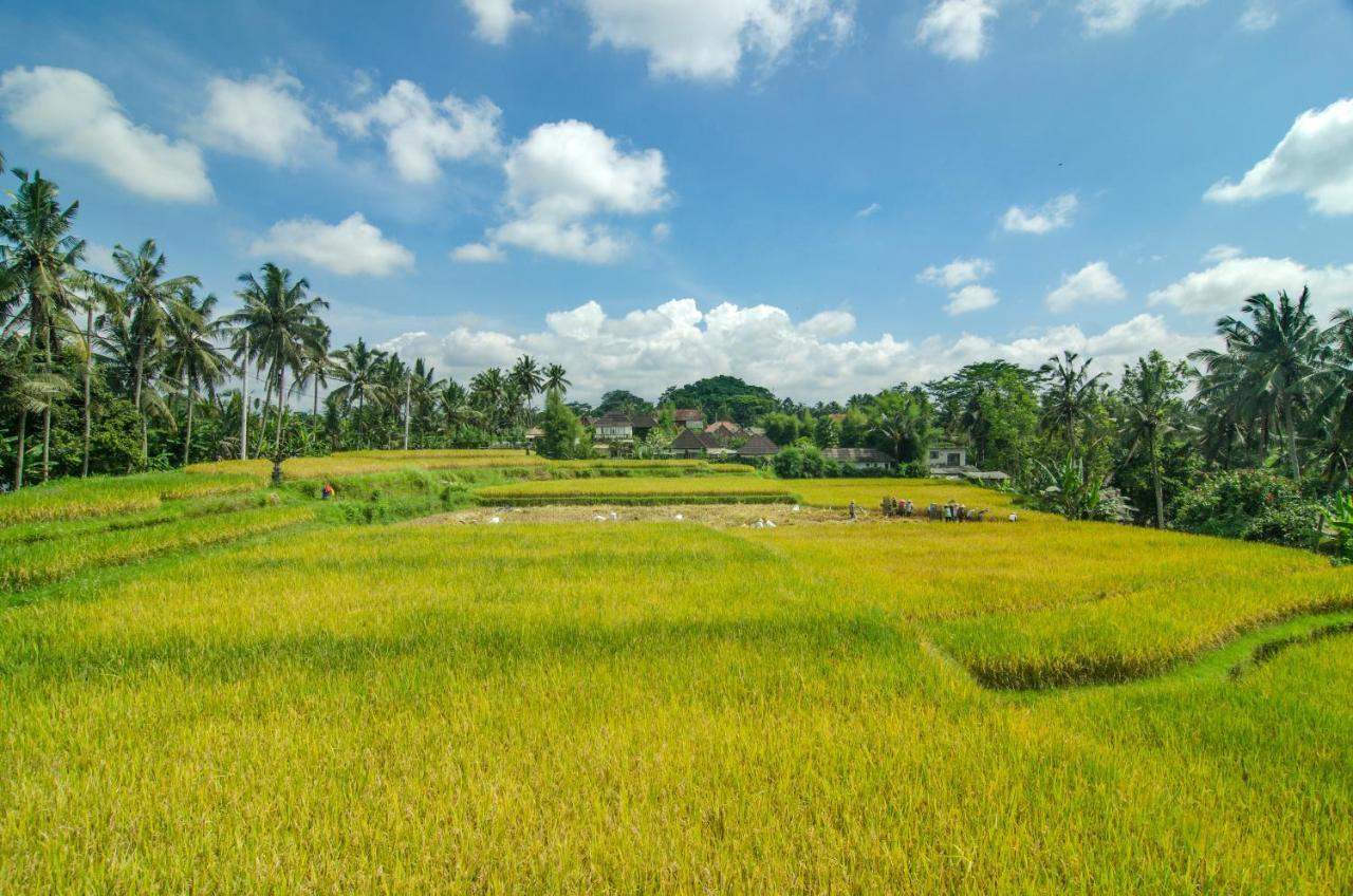 Danakha Villa Ubud Tegallalang  Exterior foto